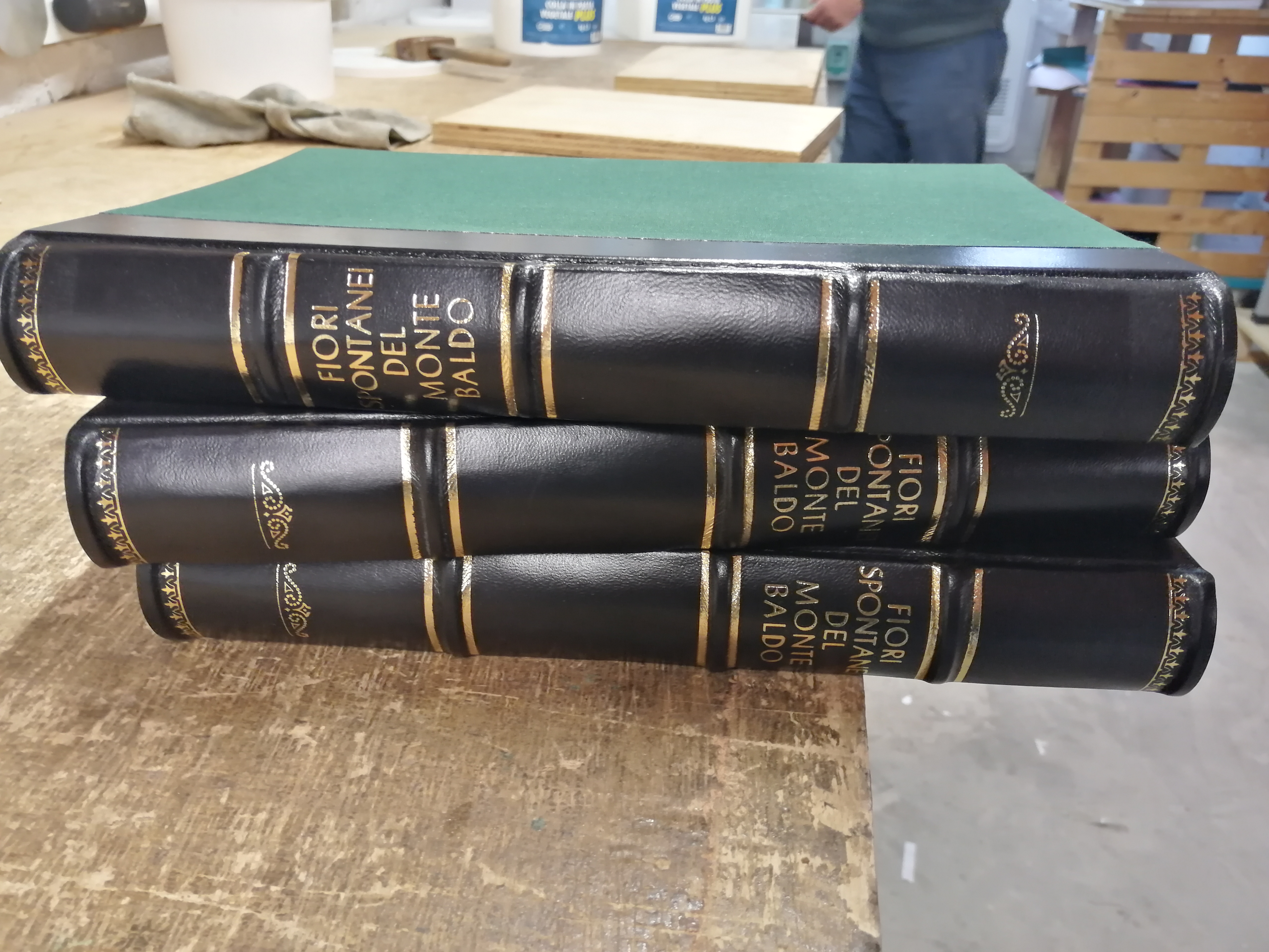 Volumi rilegati in pelle nera con scritte in oro