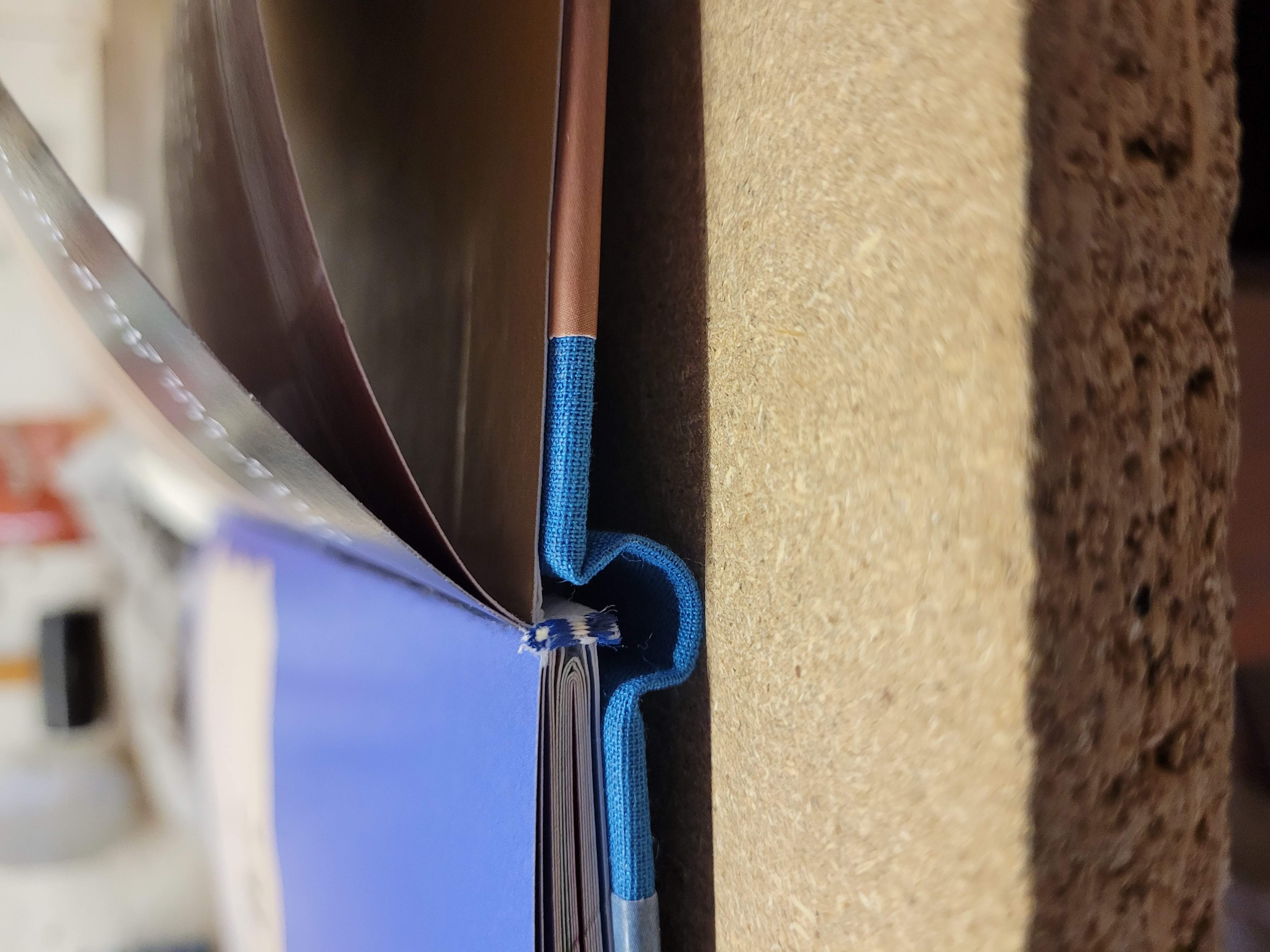 Dettaglio ravvicinato del dorso del libro con cucitura visibile